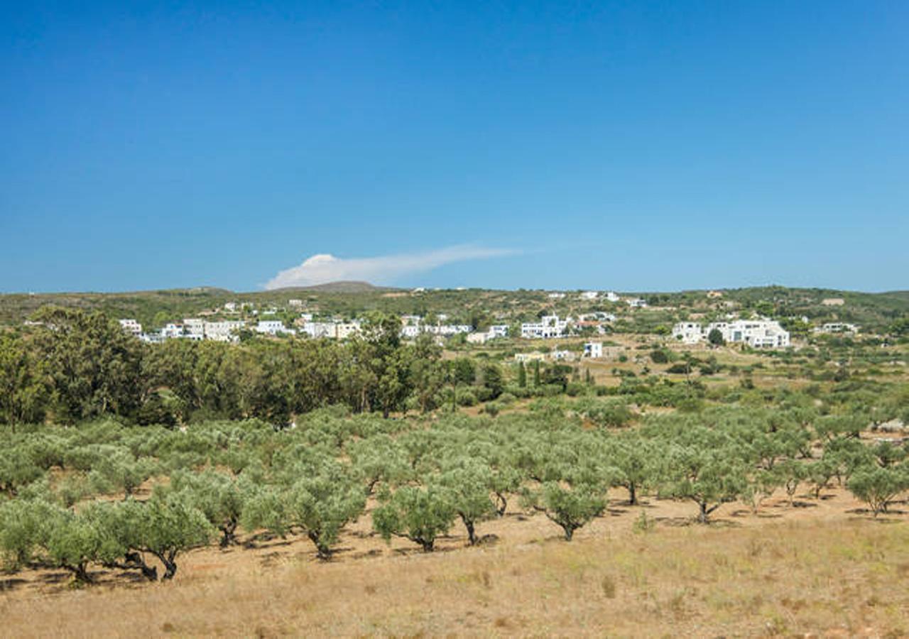 Contaratos Holiday Lettings Livadi  Экстерьер фото